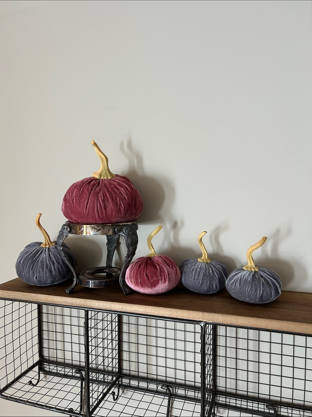 FIVE - Velvet Pumpkins - 🎃- Pink and Grey / So pretty!!
